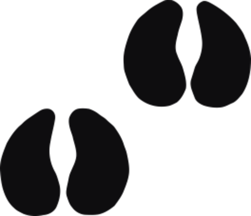 Storleken är för båda avtrycken räknat i en rektangel.