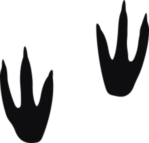 Storleken är för båda avtrycken räknat i en rektangel.