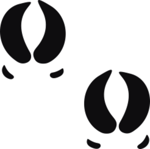 Storleken är för båda avtrycken räknat i en rektangel.