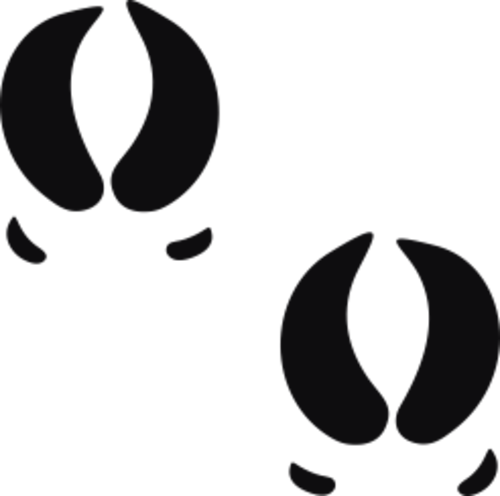 Storleken är för båda avtrycken räknat i en rektangel.