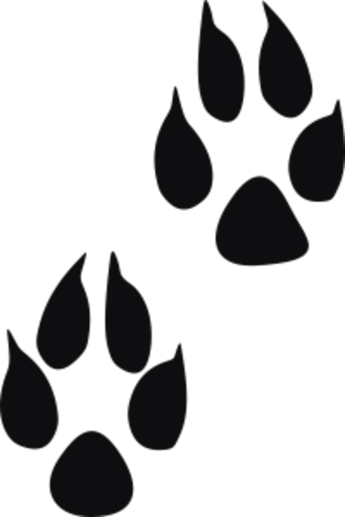 Storleken är för båda avtrycken räknat i en rektangel.