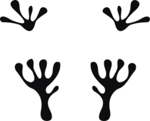 Storleken är för båda avtrycken räknat i en rektangel.