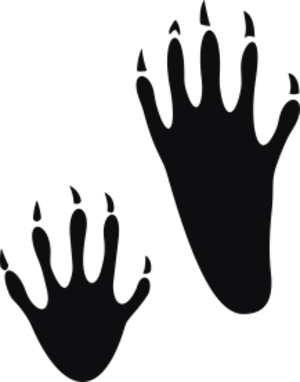 Storleken är för båda avtrycken räknat i en rektangel.