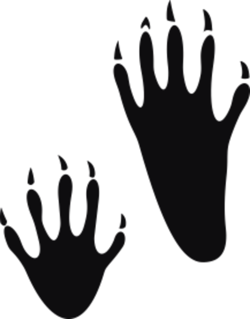 Storleken är för båda avtrycken räknat i en rektangel.