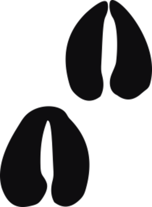 Storleken är för båda avtrycken räknat i en rektangel.