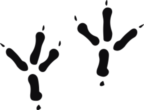 Storleken är för båda avtrycken räknat i en rektangel.