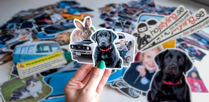 Printad dekal Beskrivning saknas