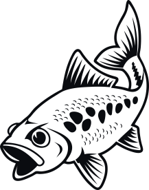 Fisk 