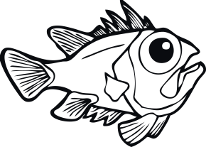 Fisk 