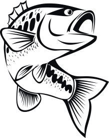 Fisk 