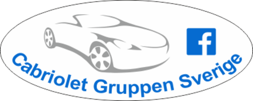 Denna dekalen är screentryckt (printad) och formskuren på vit folie.