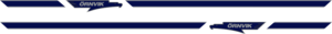 2st Stripe med örnvik logo 2210x82mm