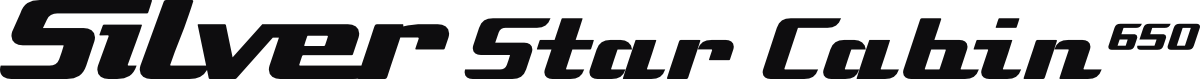 Silver Star Cabin 650