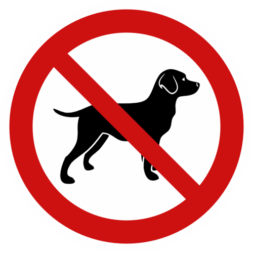 Rasta inte hunden här  