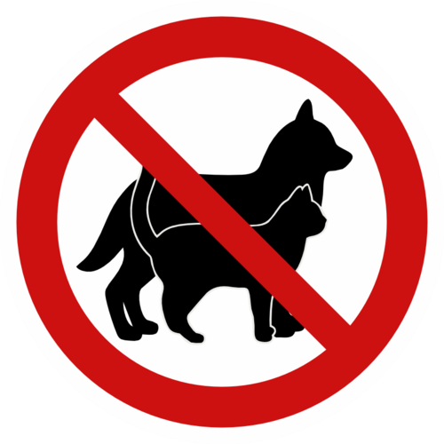 Förbud mot hund och katt 
