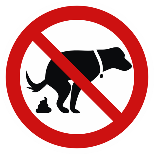 Rasta inte hunden här 