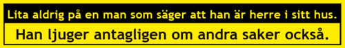 Lita aldrig på en man