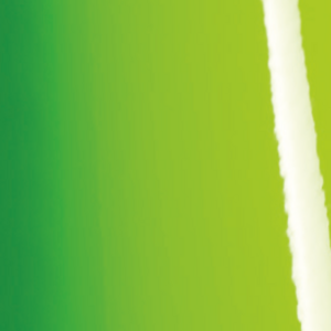 Gloss Grass Green - O BP1180001  