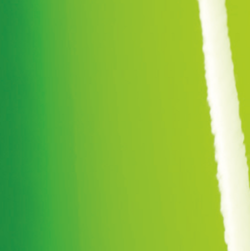 Gloss Grass Green - O BP1180001  