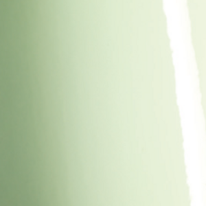 Gloss Light Pistachio BK9540001  