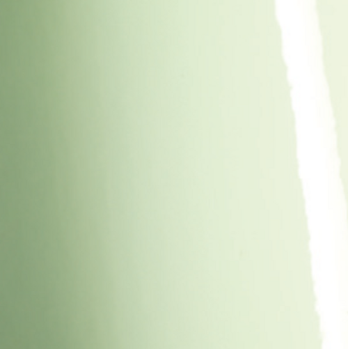 Gloss Light Pistachio BK9540001  