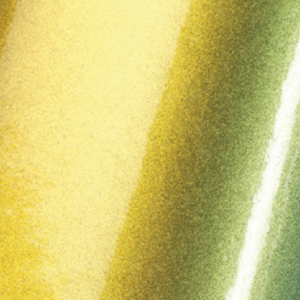 ColorFlow™  Gloss  Fresh Spring Gold/Silver BJ0810001  