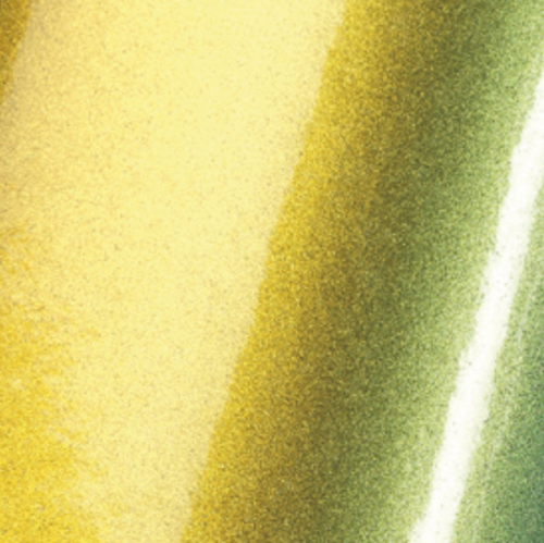 ColorFlow™  Gloss  Fresh Spring Gold/Silver BJ0810001  