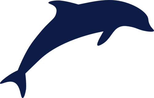 Delfin