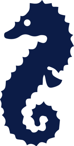 Seahorses