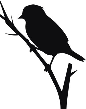 Fågel dekal