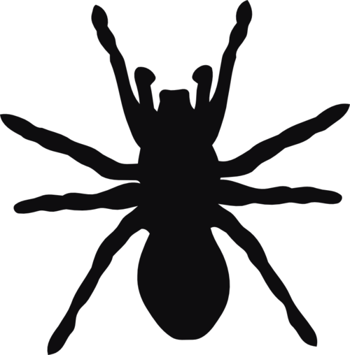 Spindel dekal