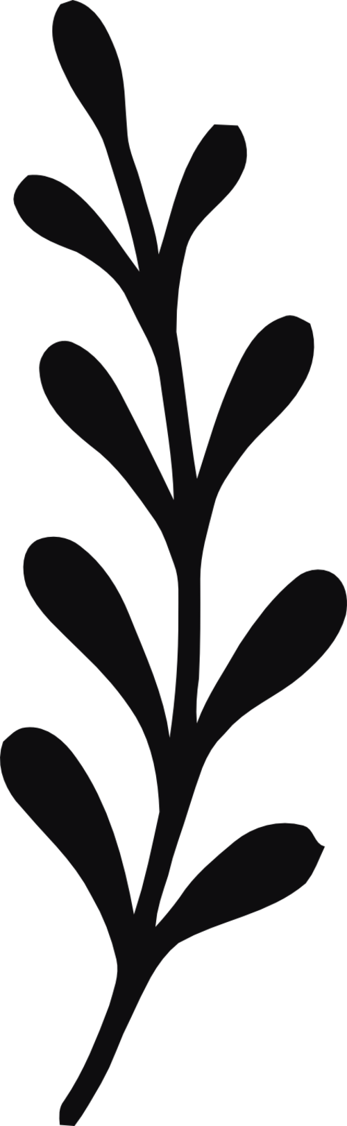 Datorskuren dekal. Växt, kvist, gren, blad.