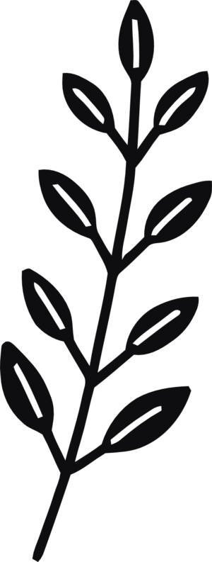 Datorskuren dekal. Växt, kvist, gren, blad.