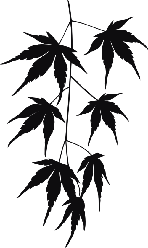 Datorskuren dekal. Växt, kvist, gren, blad.