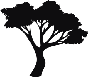 Datorskuren dekal. Växt, träd,  skog