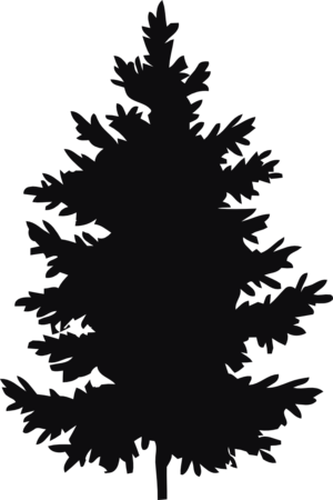 Datorskuren dekal. Växt, träd, gran, skog