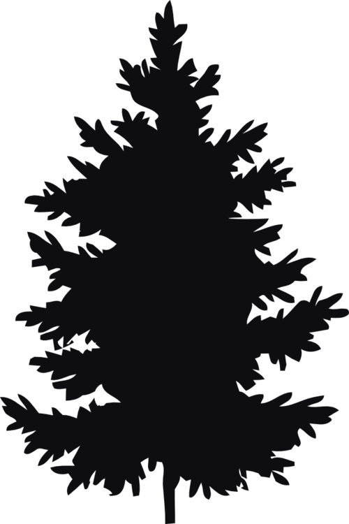 Datorskuren dekal. Växt, träd, gran, skog