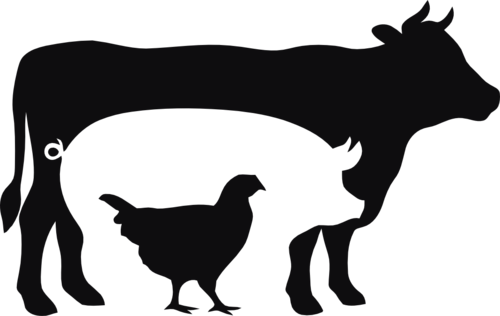 Ko, gris & höna dekal