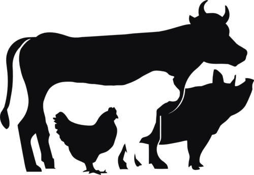 Ko, gris, får & höna dekal