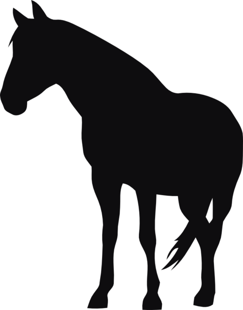 Häst dekal