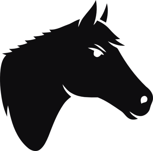 Häst dekal