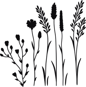 Datorskuren dekal. Växt, kvist, gren, blad, strå, blomma