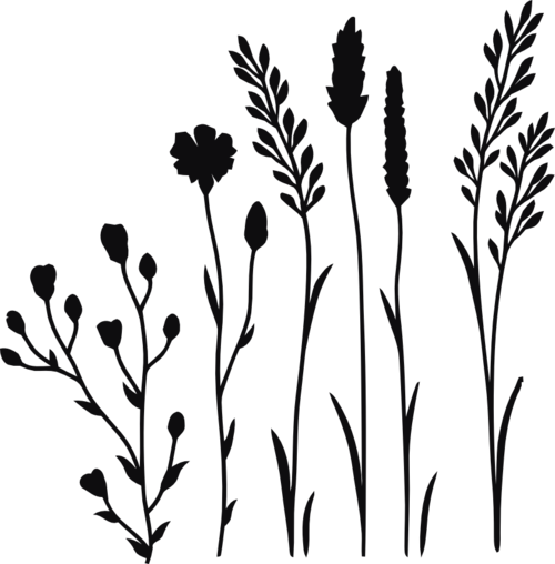 Datorskuren dekal. Växt, kvist, gren, blad, strå, blomma