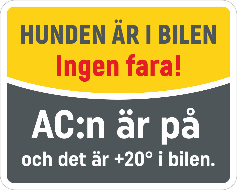 Dekal. Hunden är i bilen. 